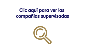 compan%cc%83ias-supervisadas